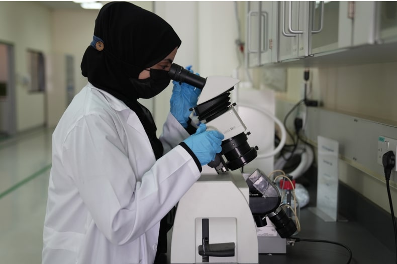 イメージストリップ2