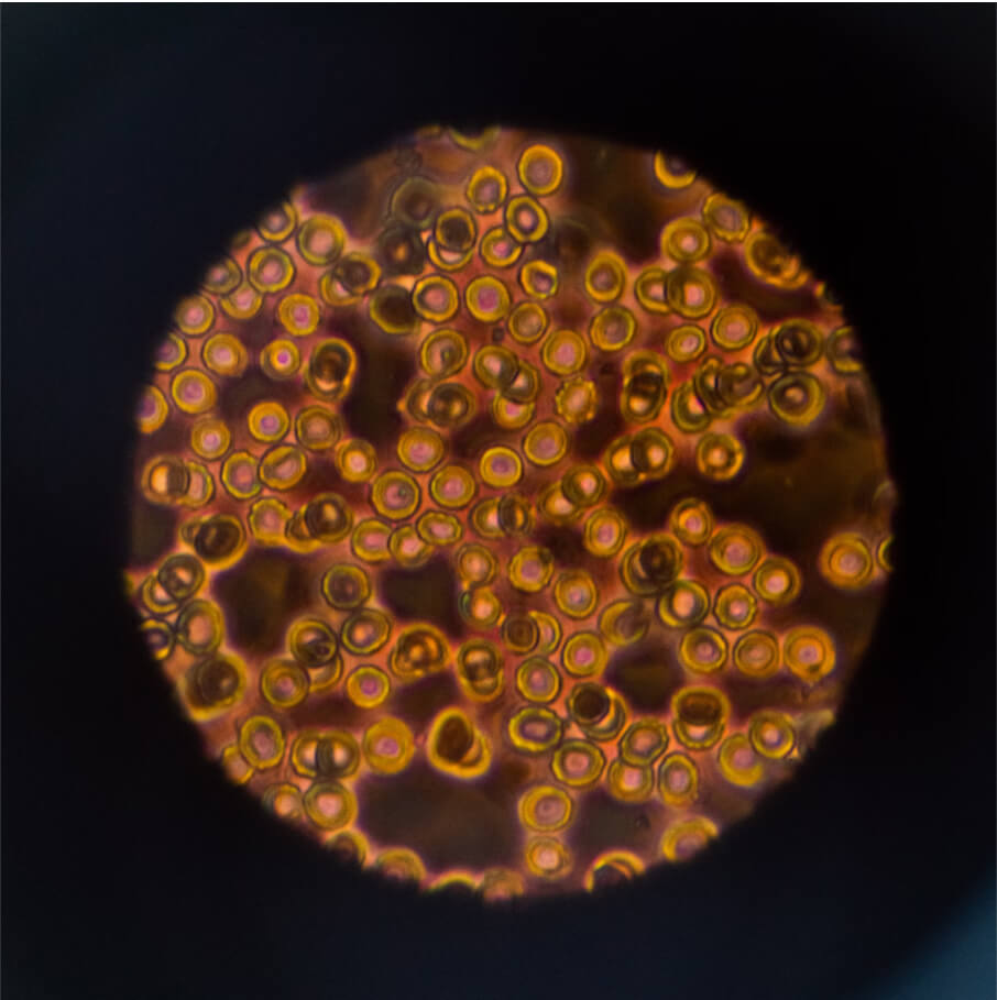 science