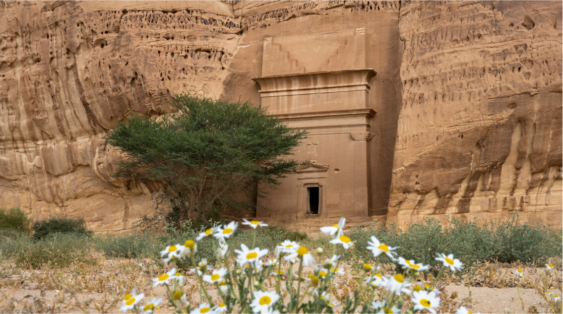 Visit Saudi-Welcome to Suadi Arabia-Image 01