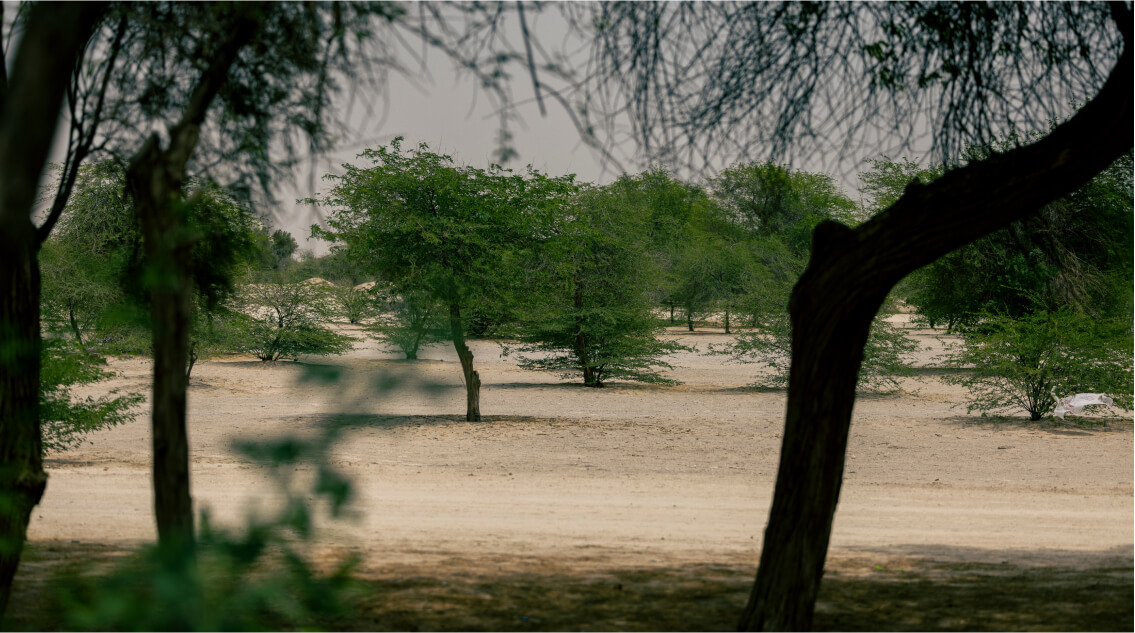 Visit Saudi-Welcome to Suadi Arabia-Image 03